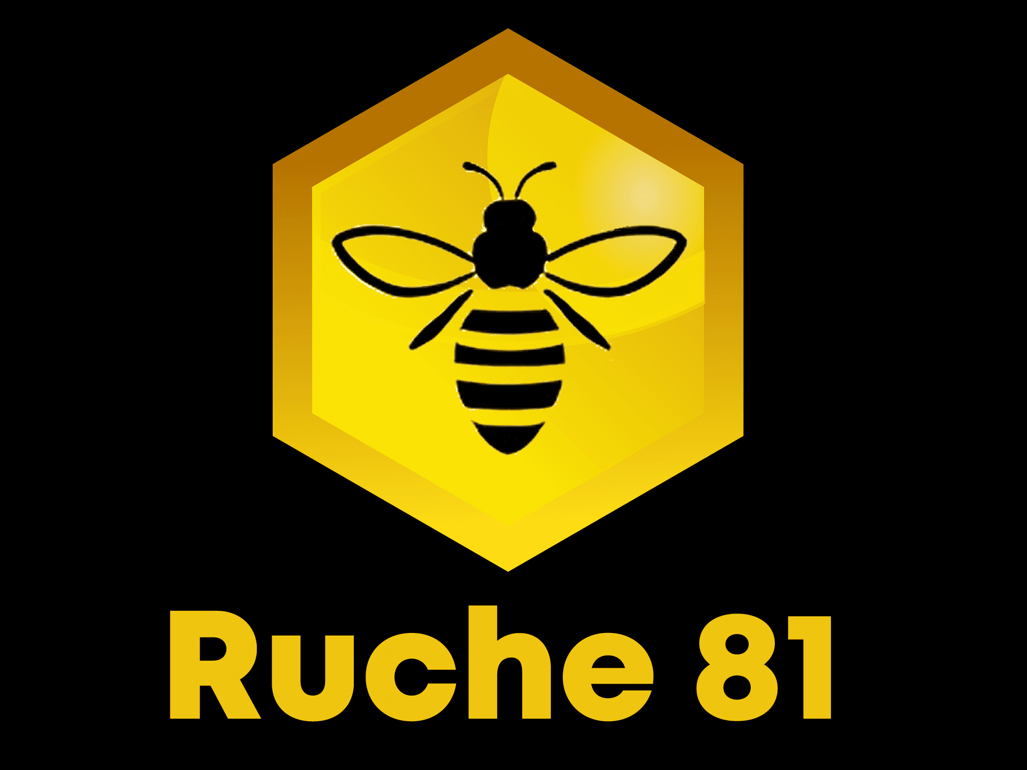 Affiche de Réunion/rencontre de la Ruche 81