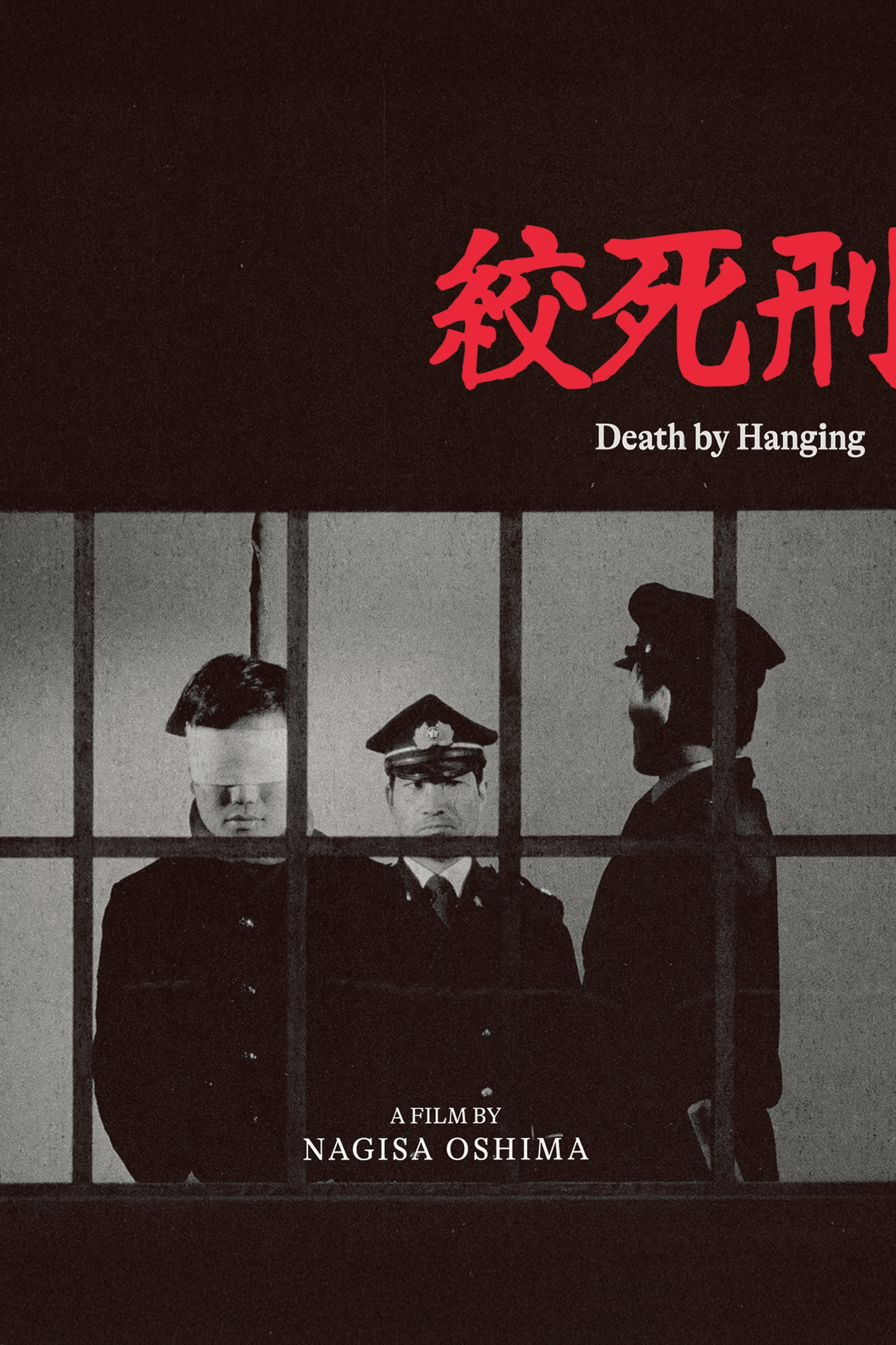 Couverture de La Pendaison — peine de mort, État et identité